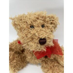 Pier 1 Imports Teddy Bear Shaggy Soft With Plastic 4” Card Holder Plush 7”
